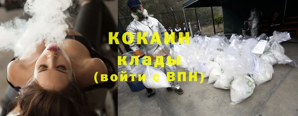 гашик Щигры