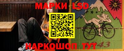 стаф Камышлов