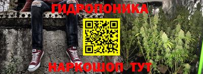 хмурый Кандалакша
