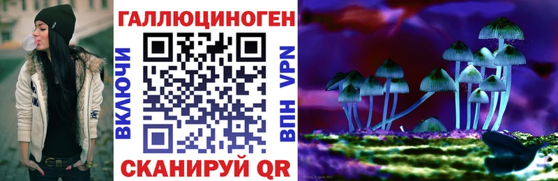 Псилоцибиновые грибы мицелий  Новотроицк 