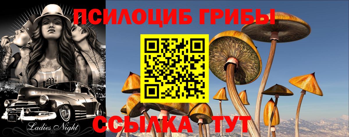 Новотроицк  Галлюциногенные грибы MAGIC MUSHROOMS  Вход с VPN  Галлюциногенные грибы Cubensis 